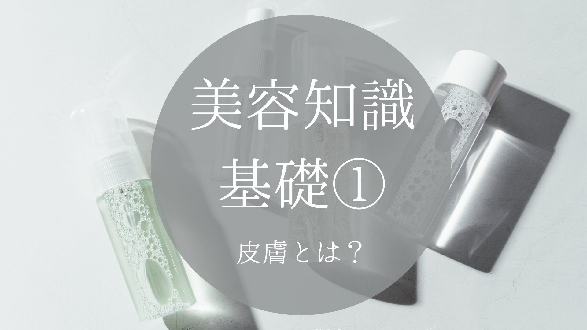 美容知識基礎①